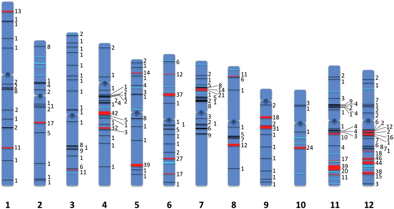 1429fig1