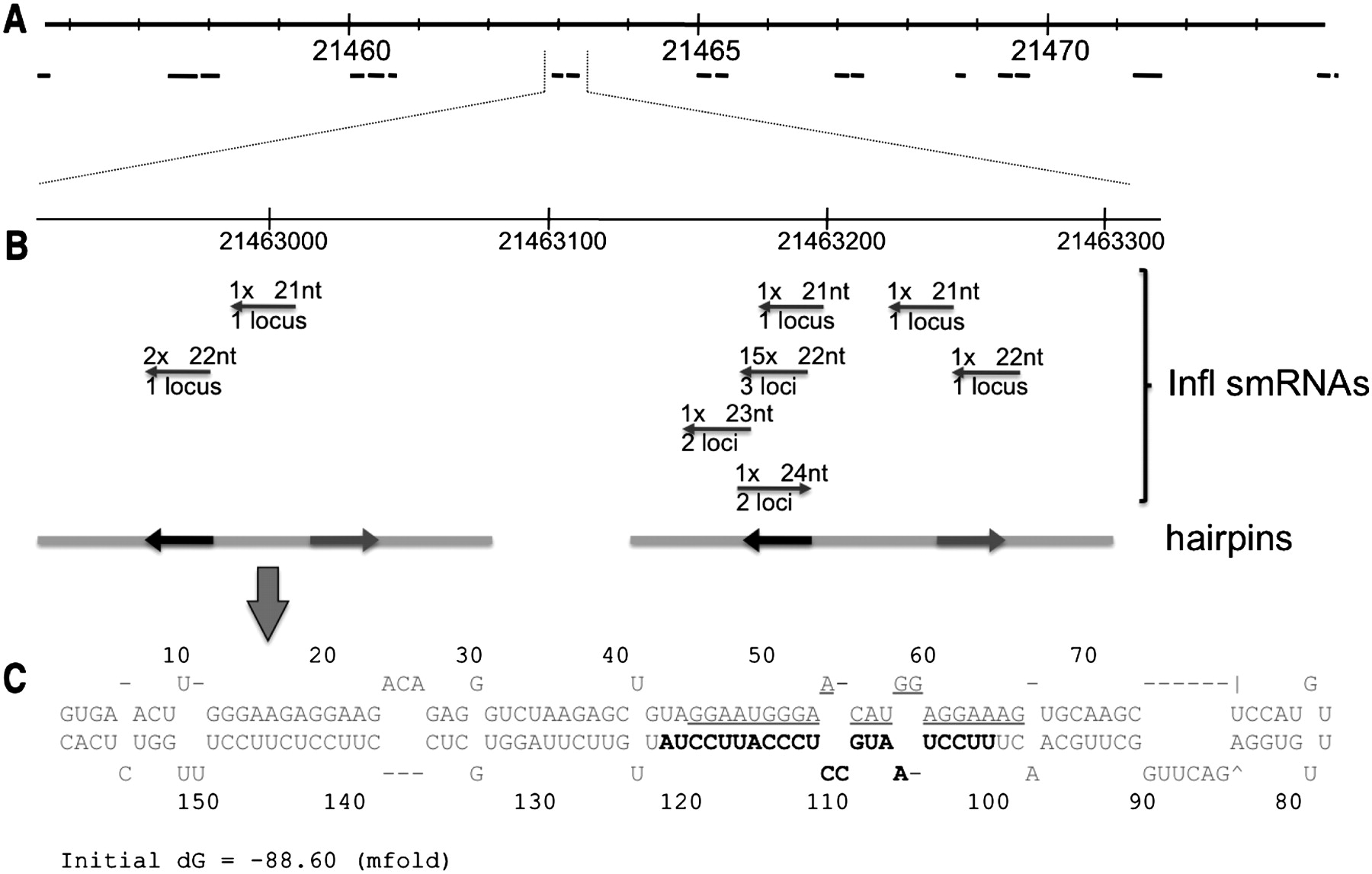 1429fig5