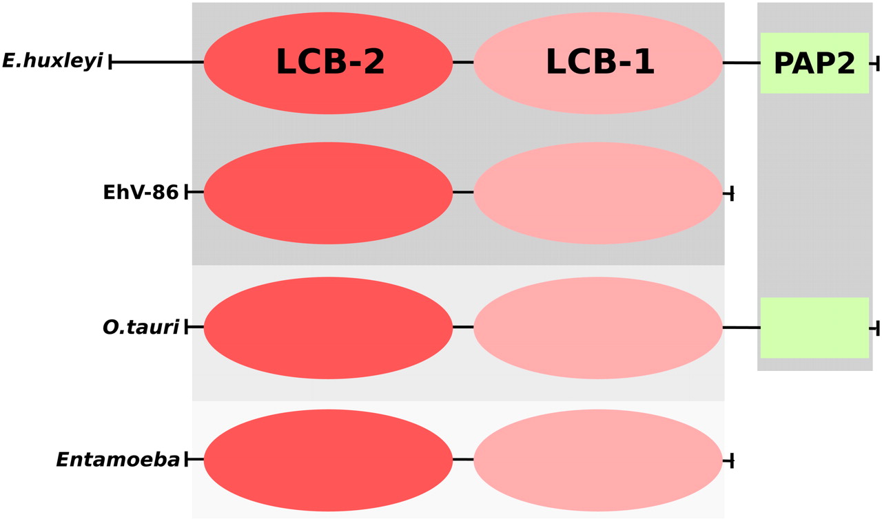 1441fig2