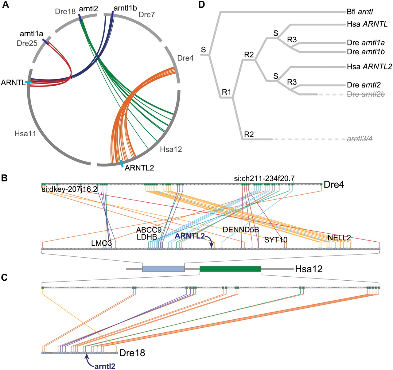 1497fig3