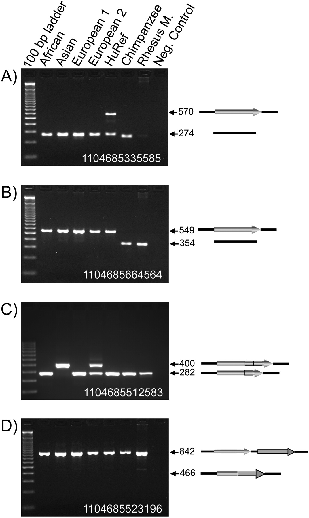 1516fig1