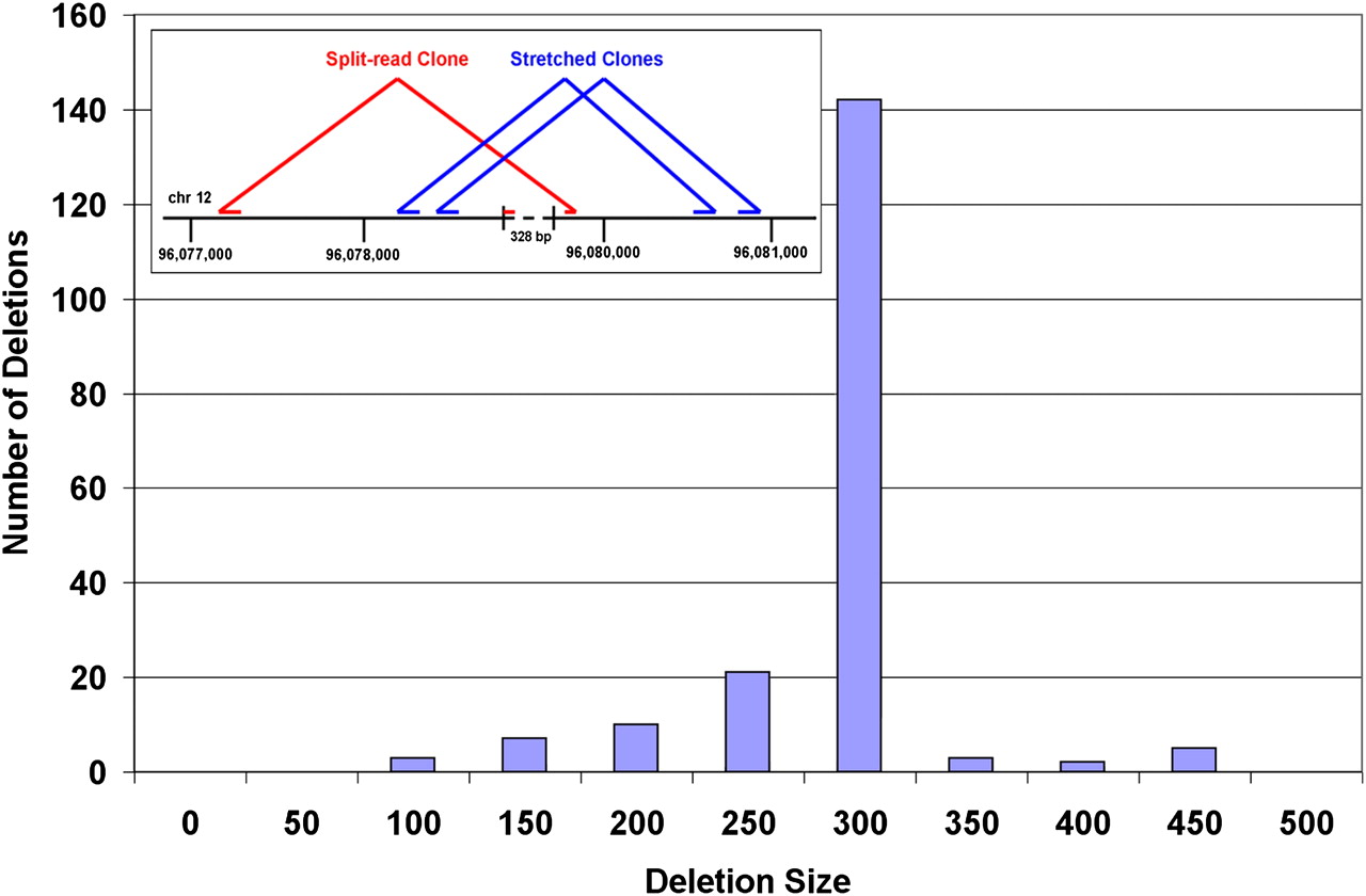 1527fig6