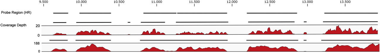 1616fig1