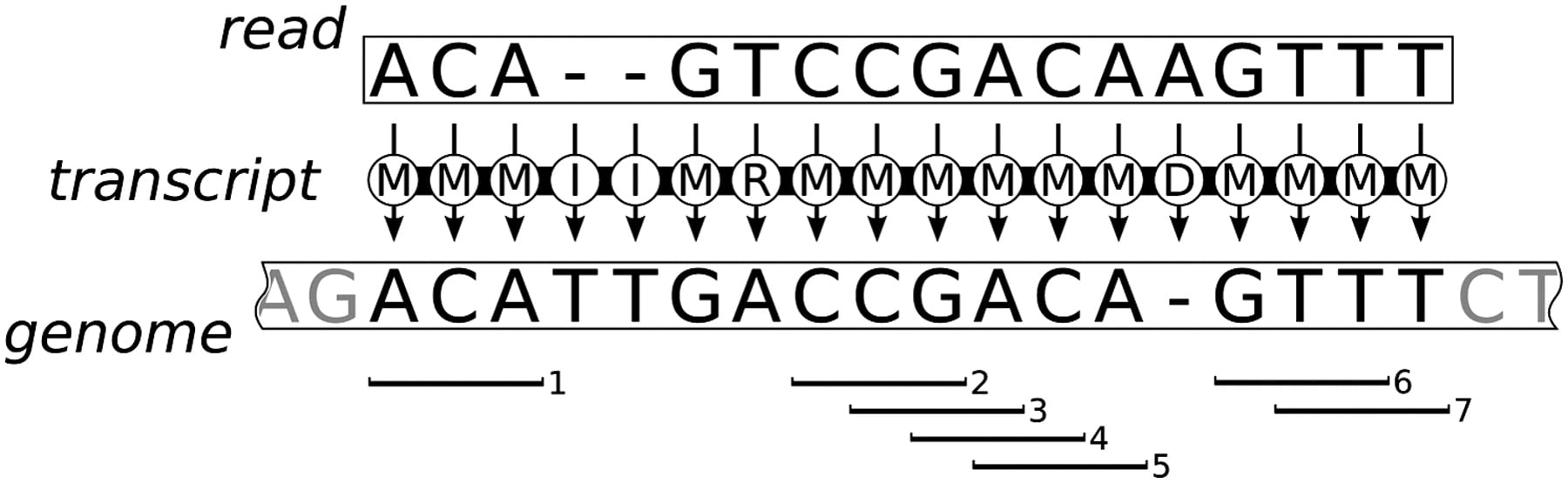 1646fig1