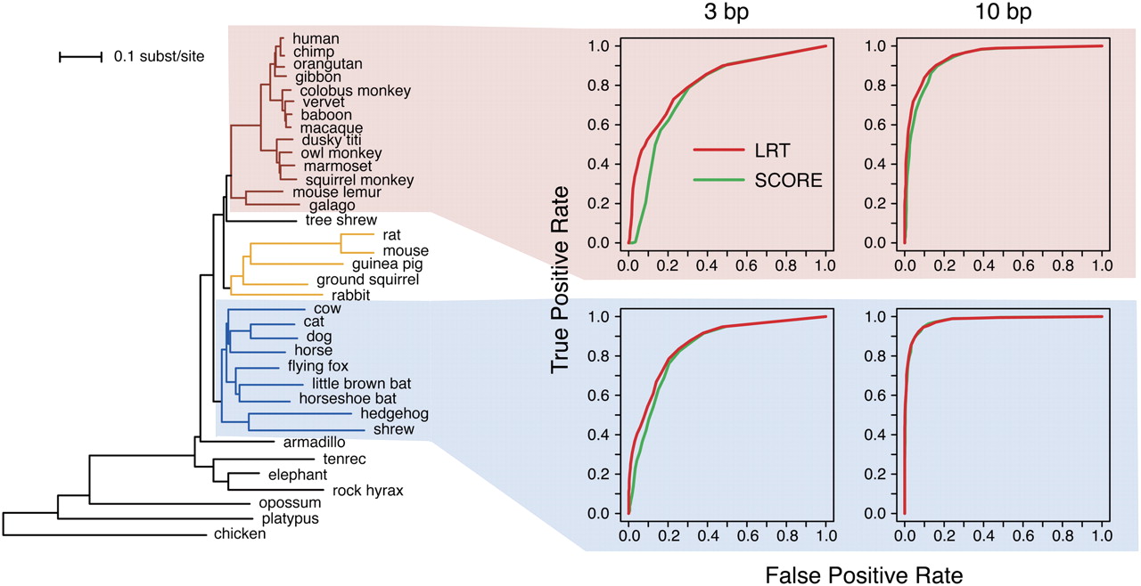 110fig3