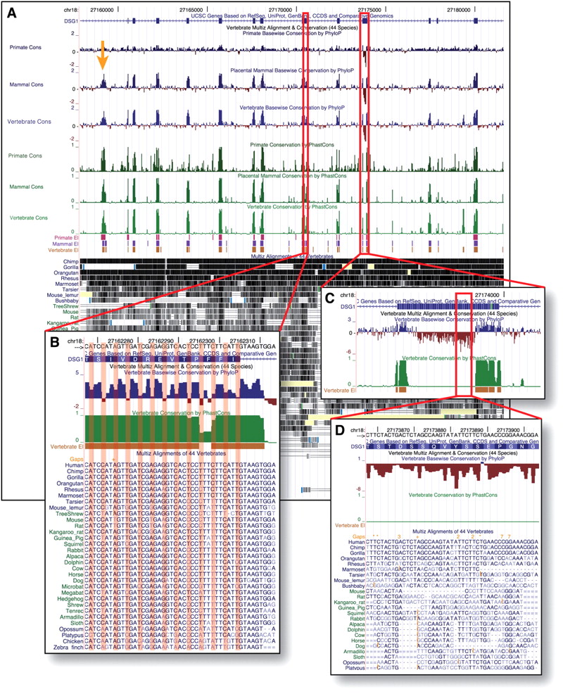 110fig6