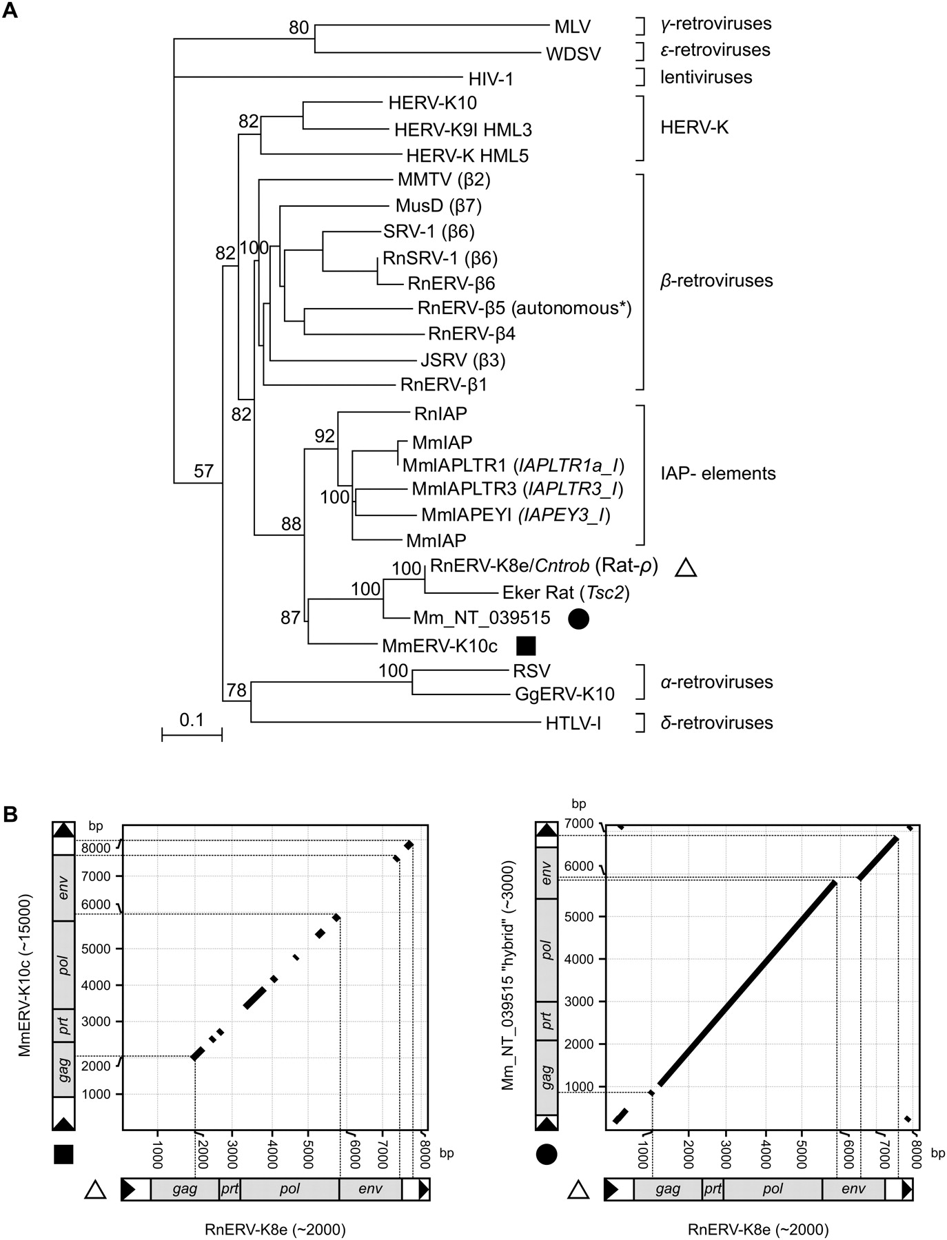 19fig2