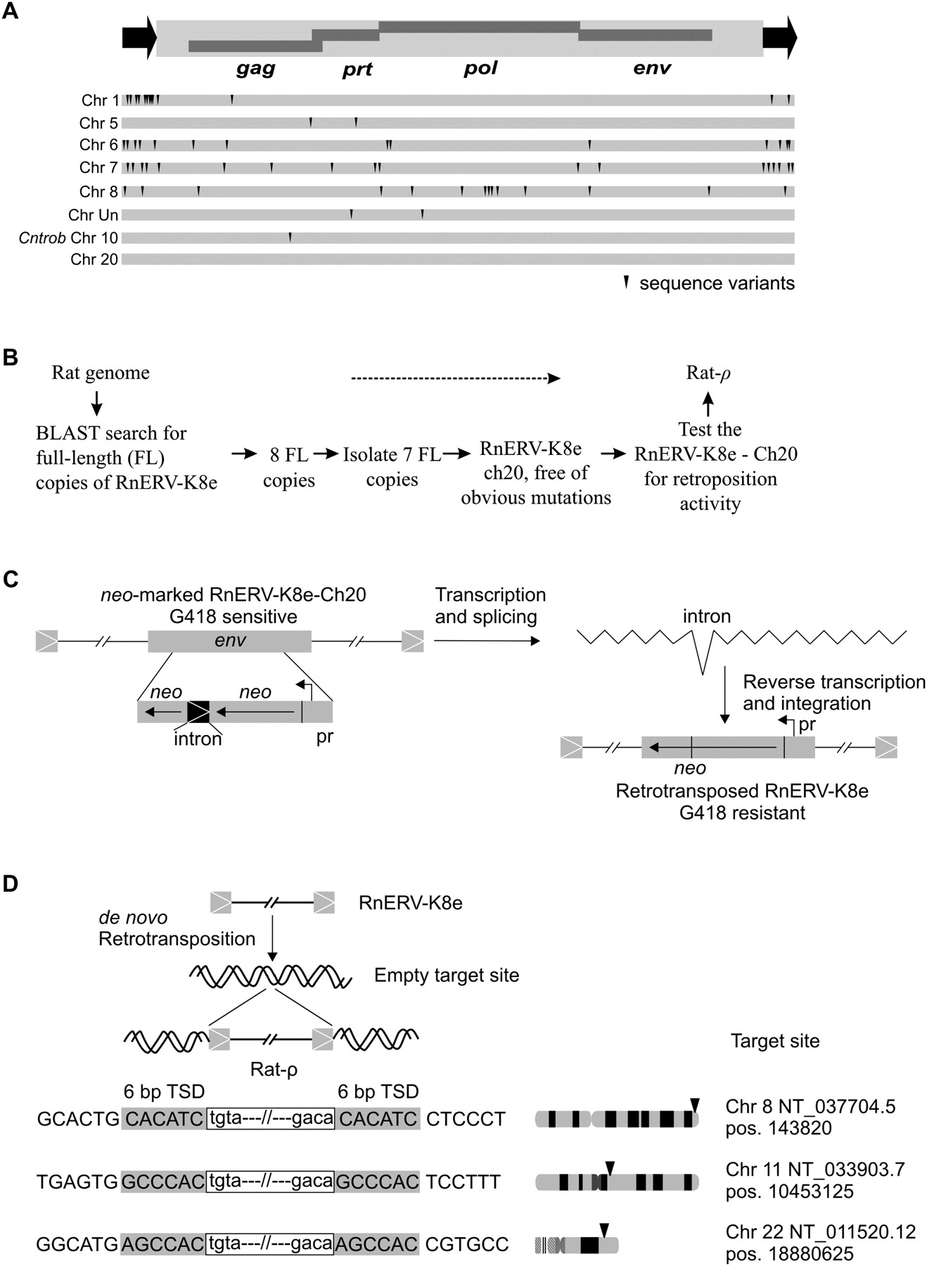 19fig3