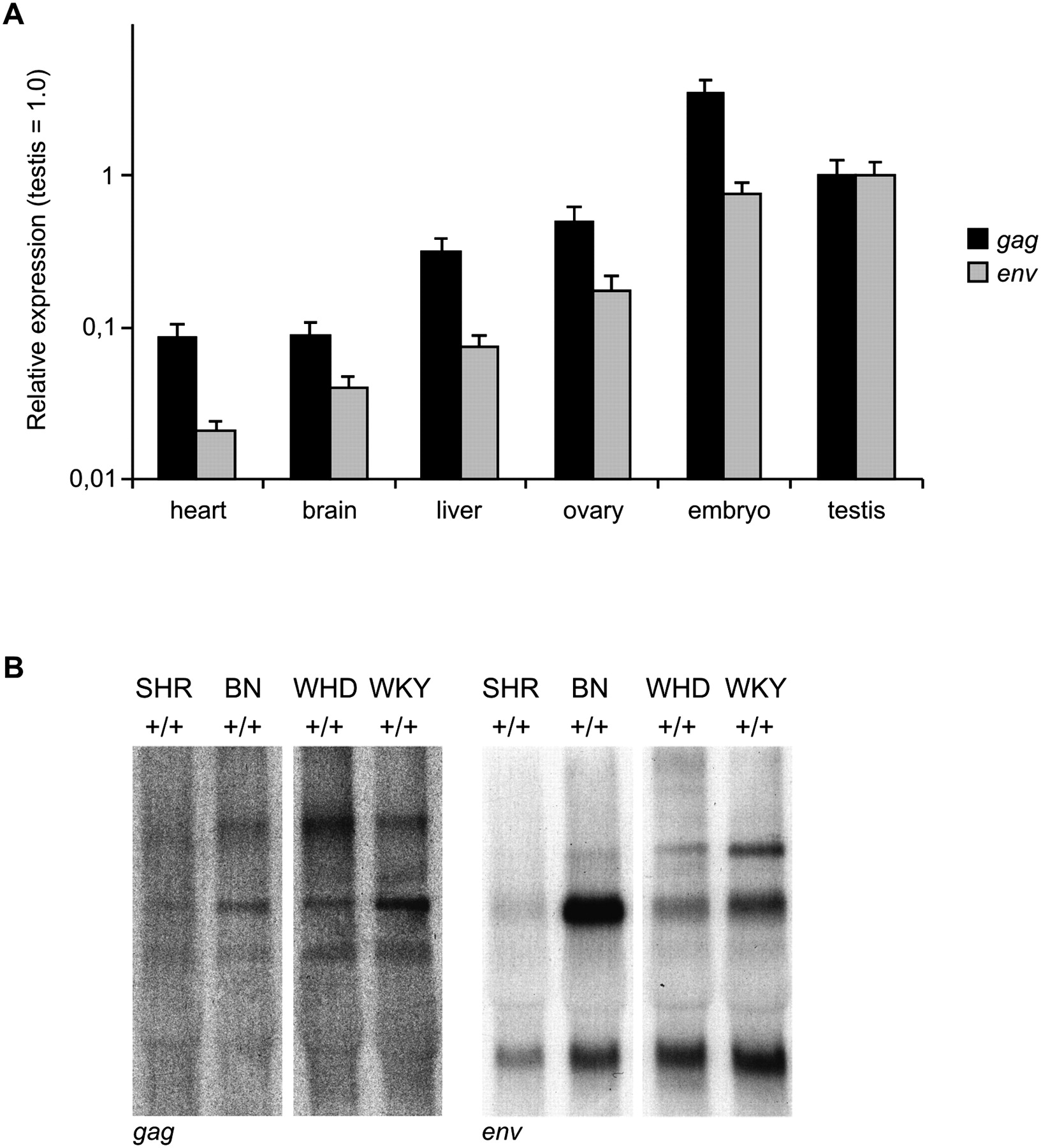 19fig4