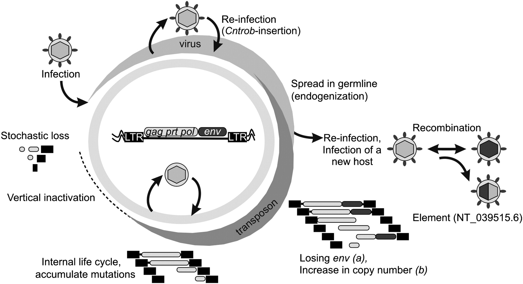 19fig6