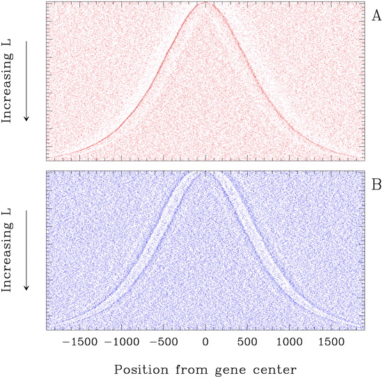 59fig4