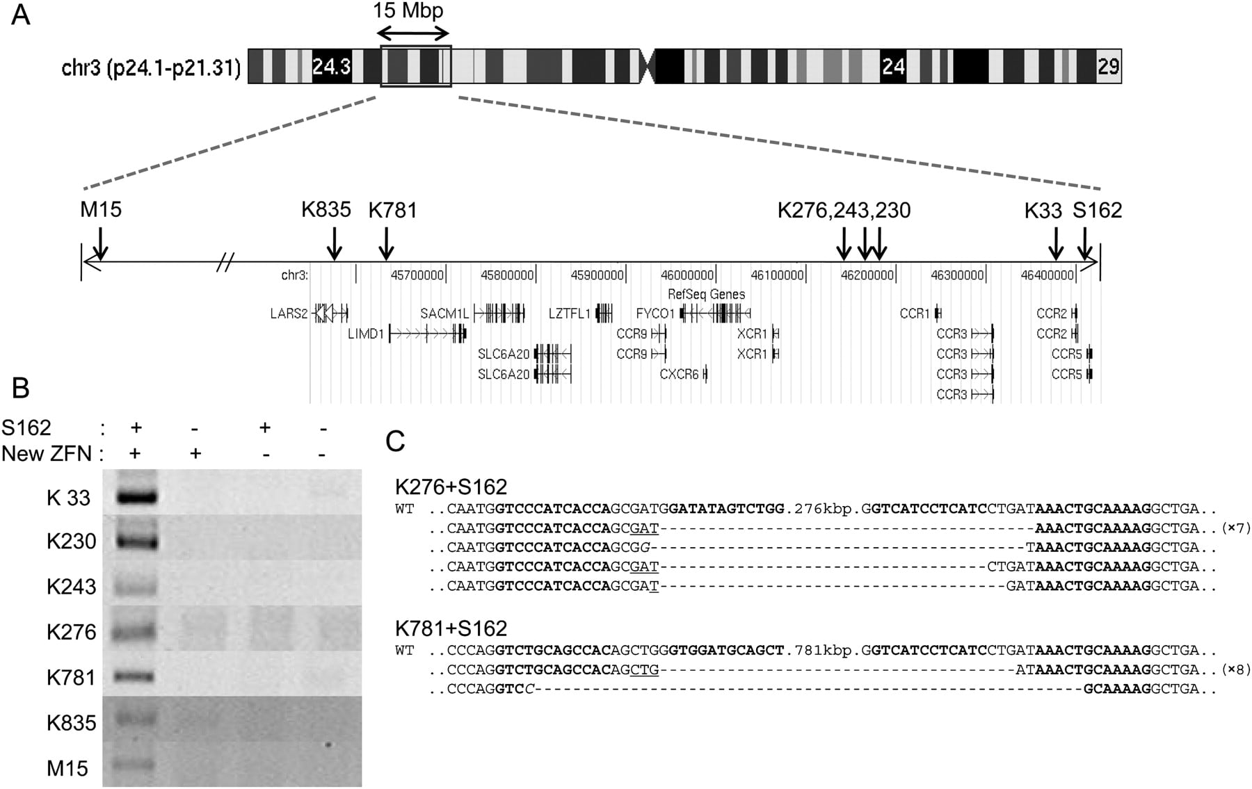 81fig3