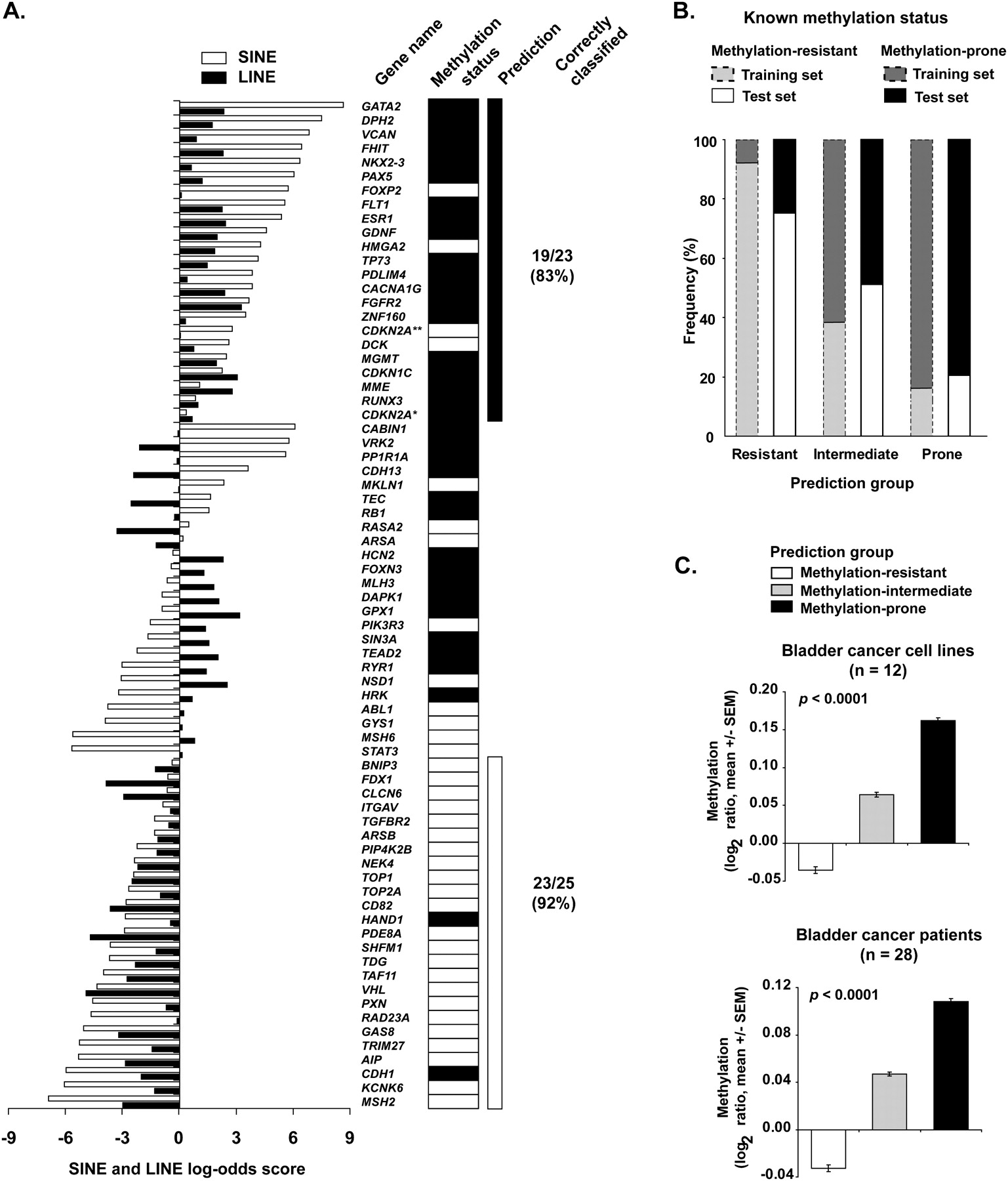 1369fig3