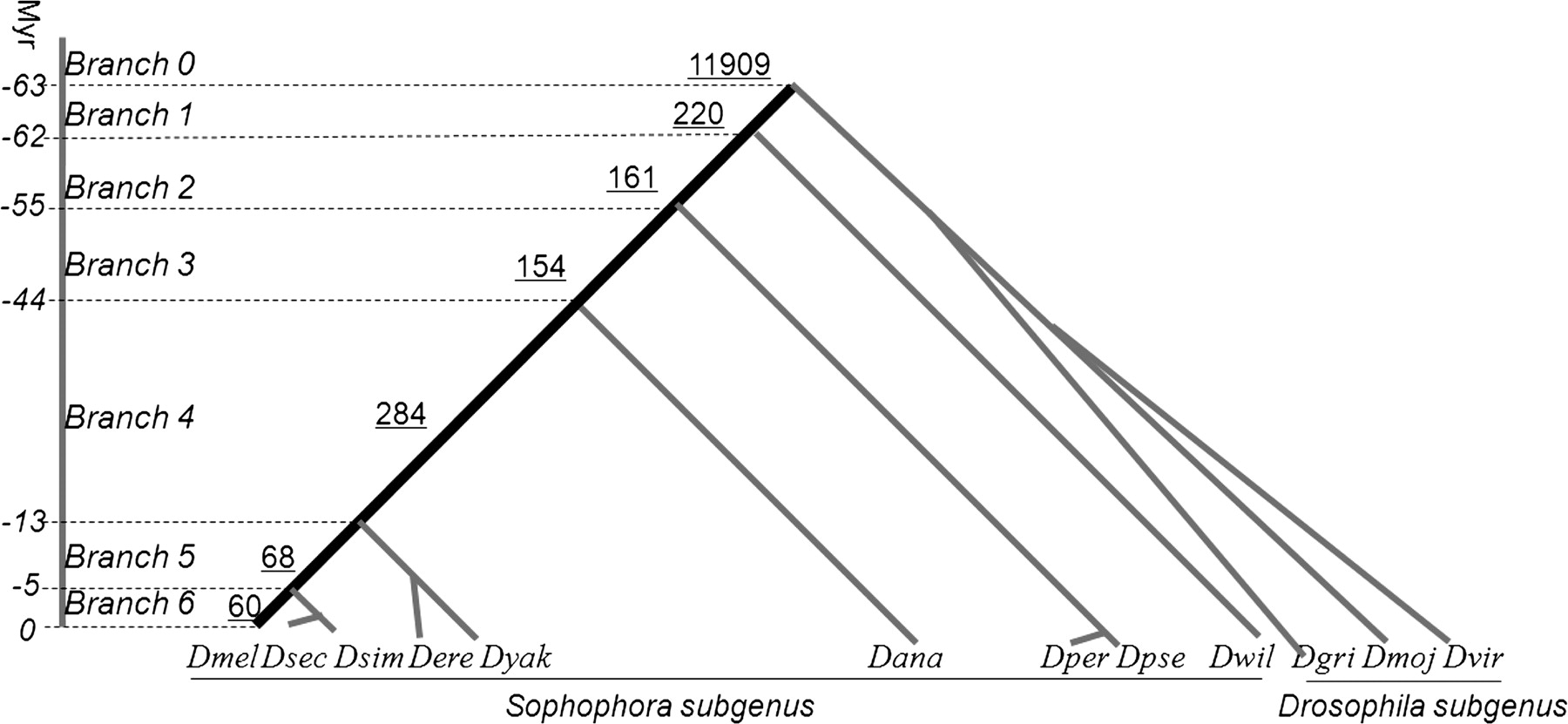 1526fig1