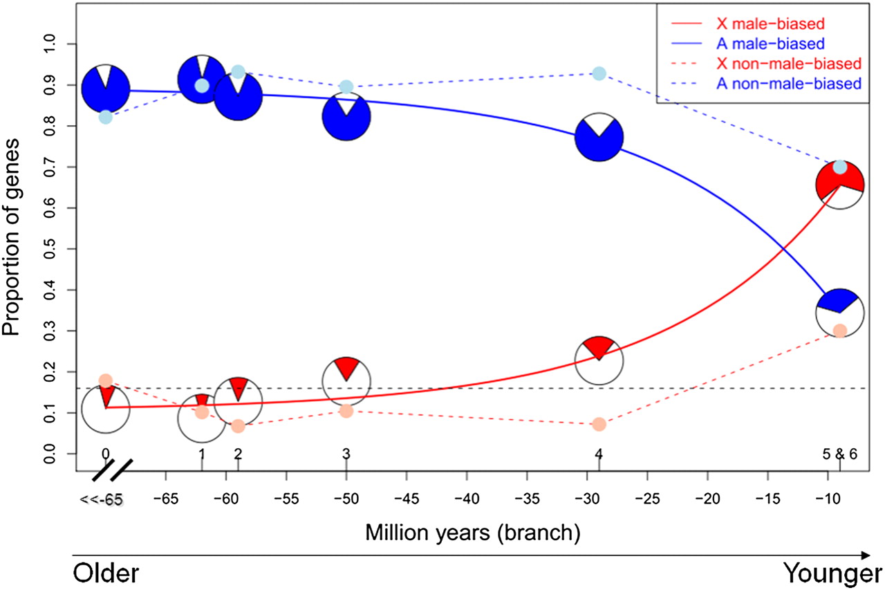 1526fig4