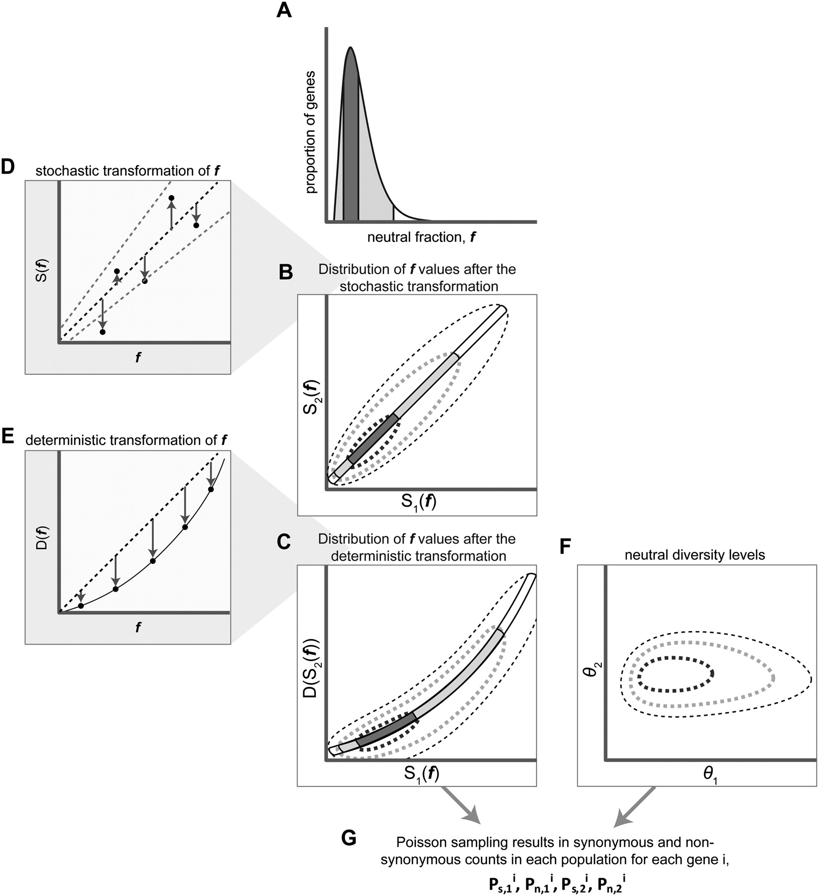 1558fig3