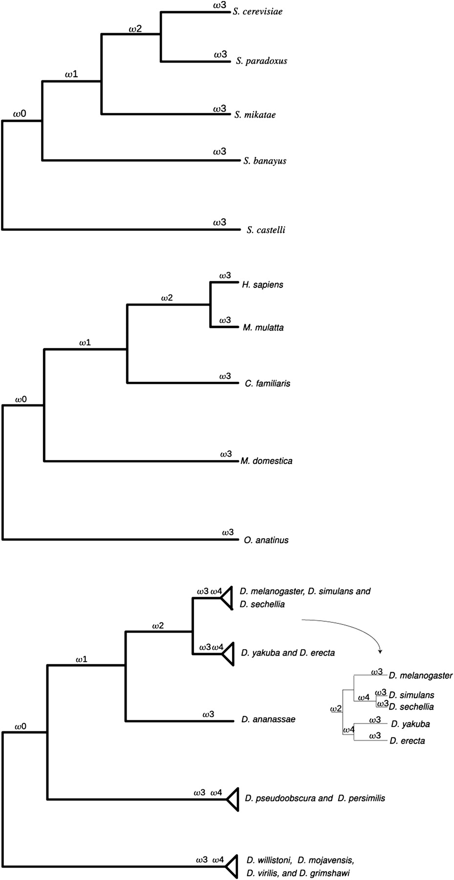 1574fig2