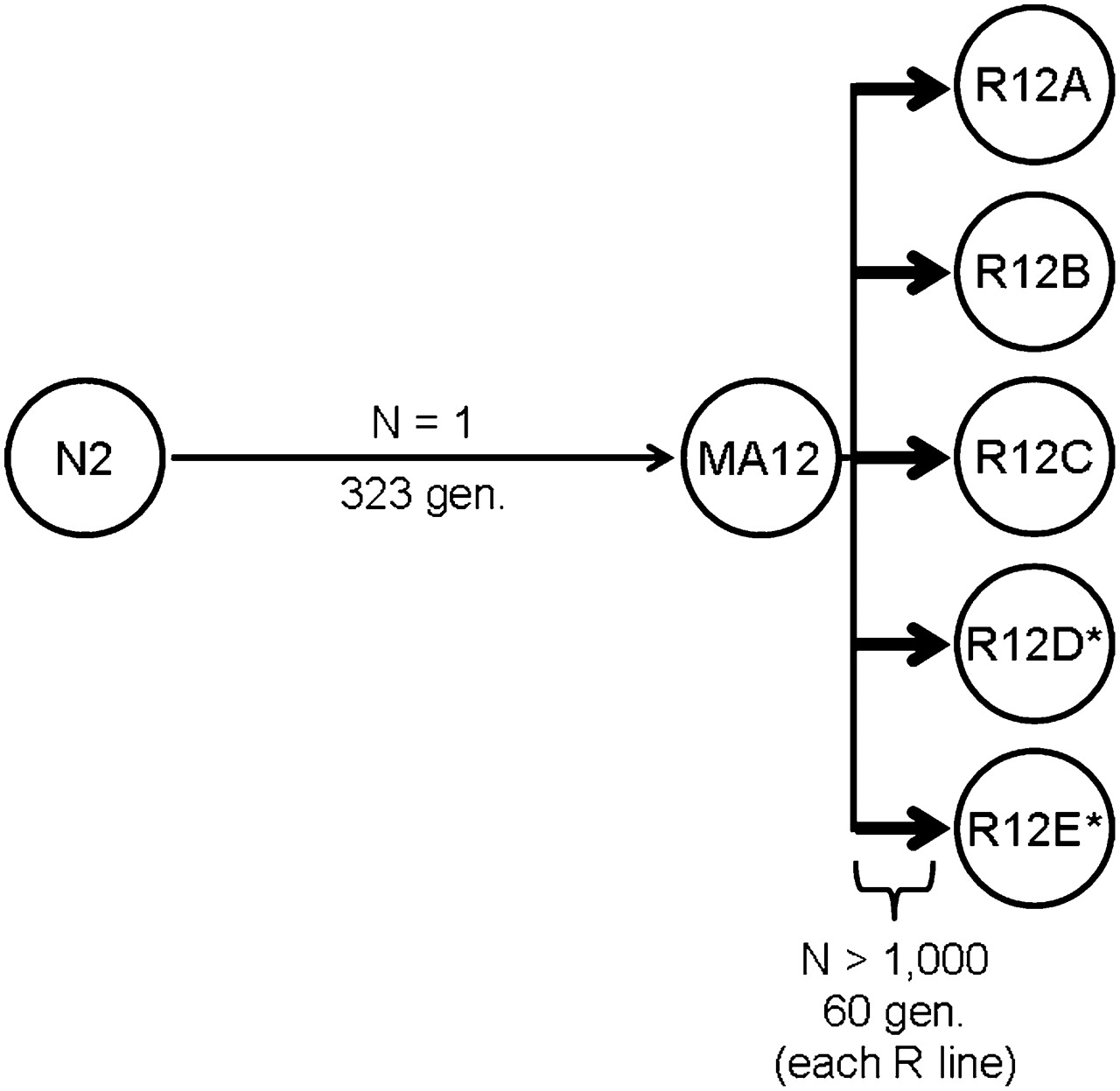 1663fig1