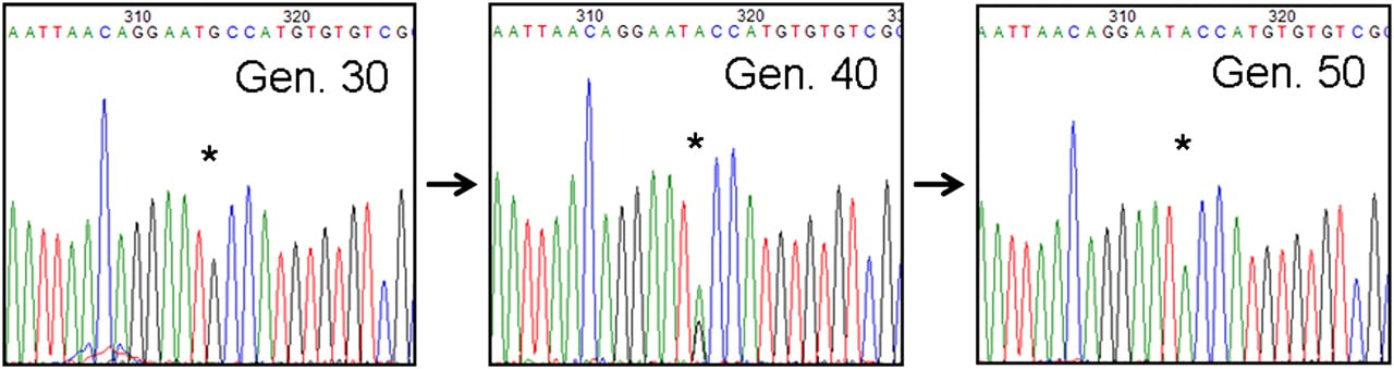 1663fig4