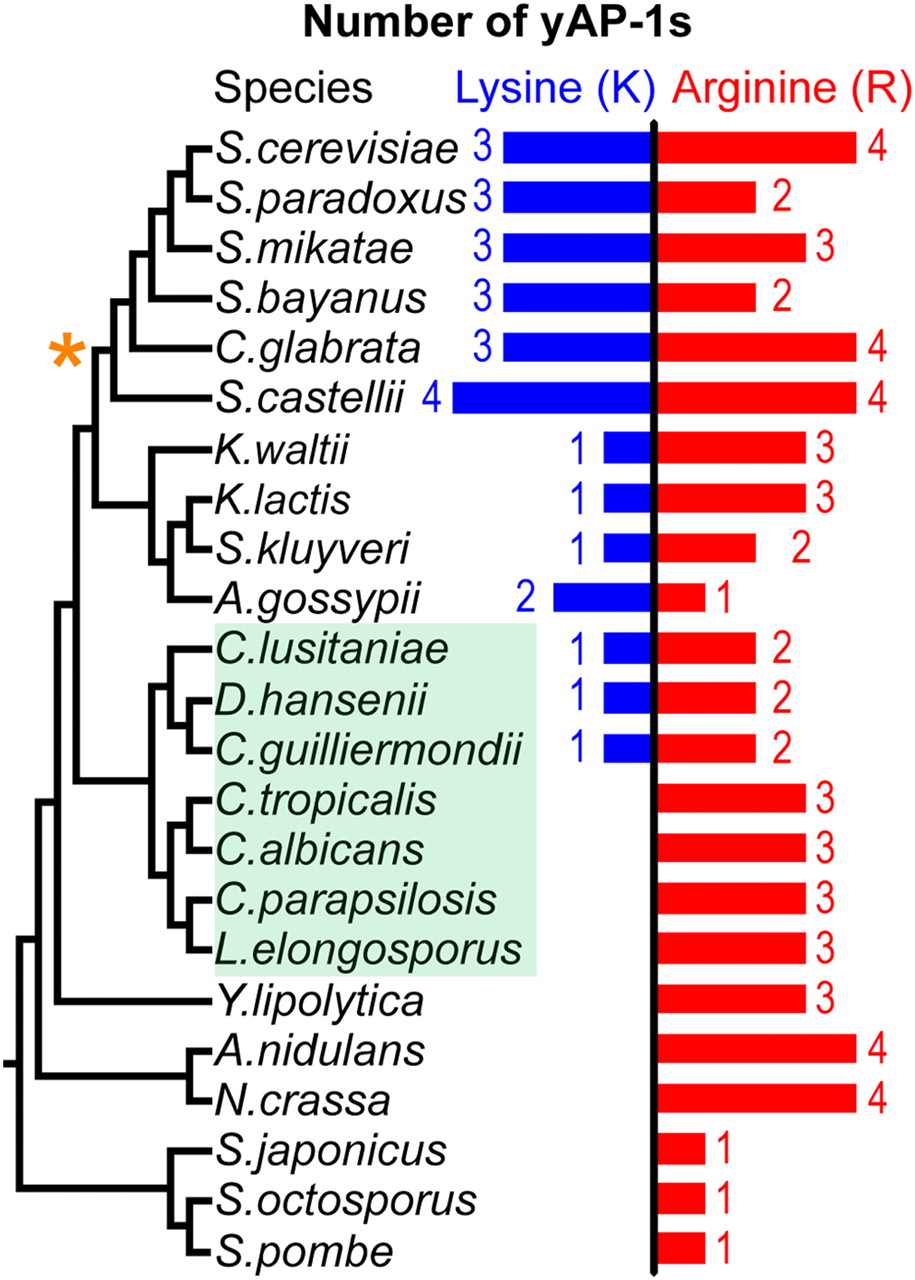 1672fig4