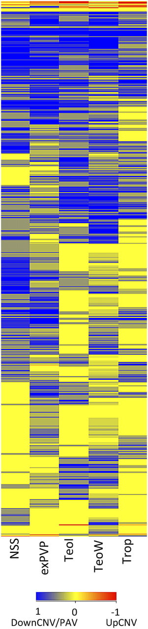 1689fig4