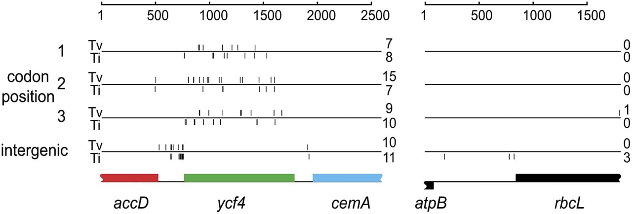 1700fig5