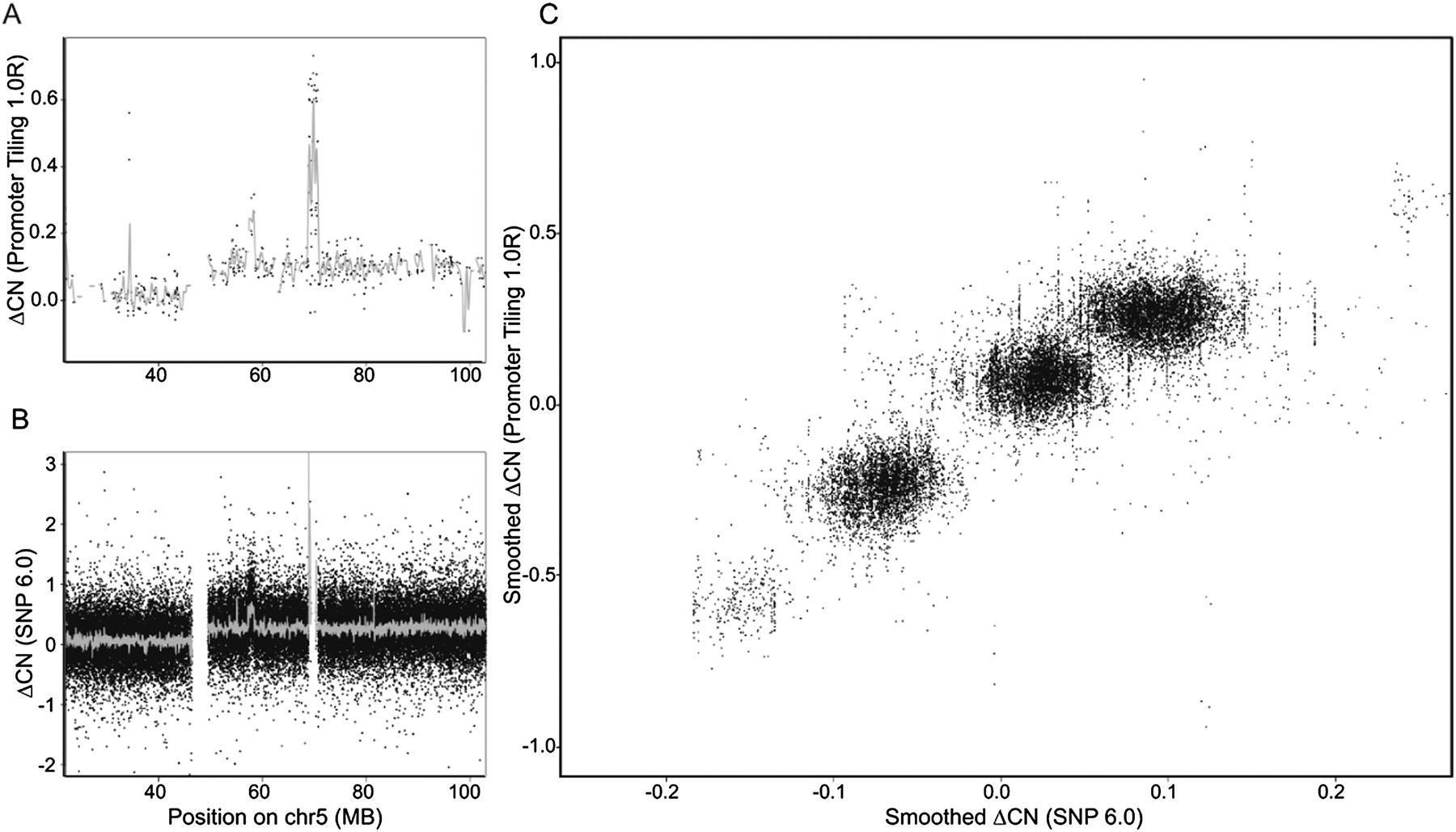 1719fig6