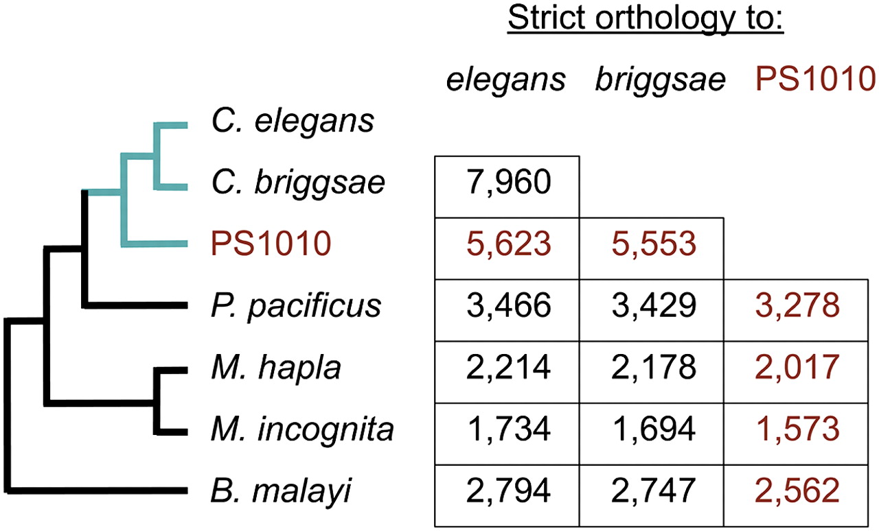 1740fig4