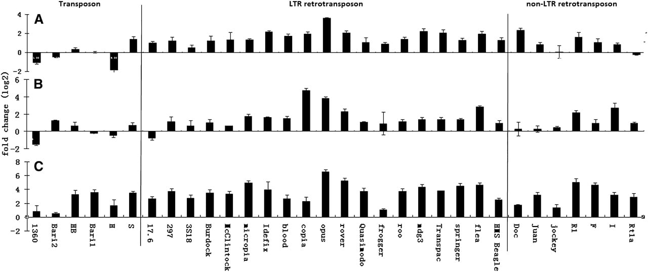 212fig1