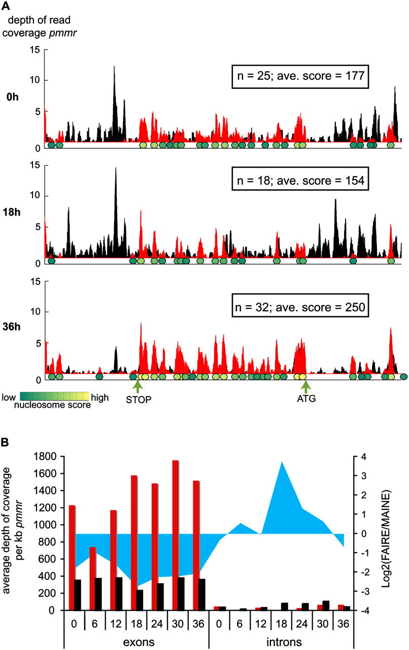 228fig4