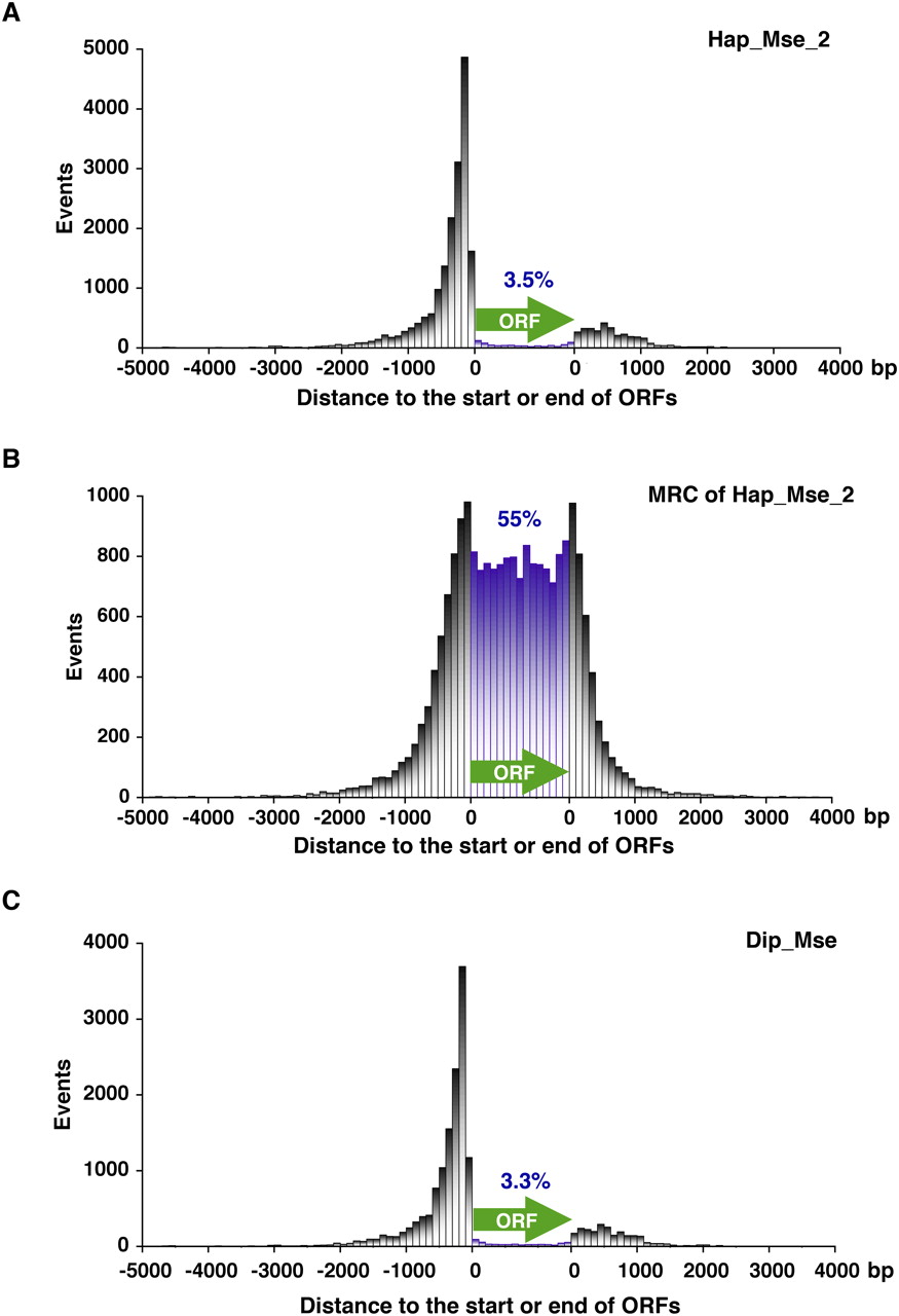 239fig2