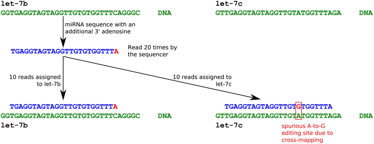 257fig2