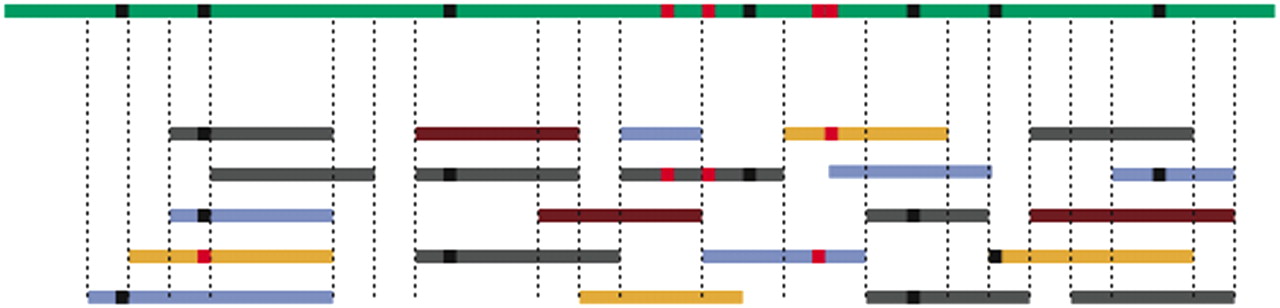 291fig1