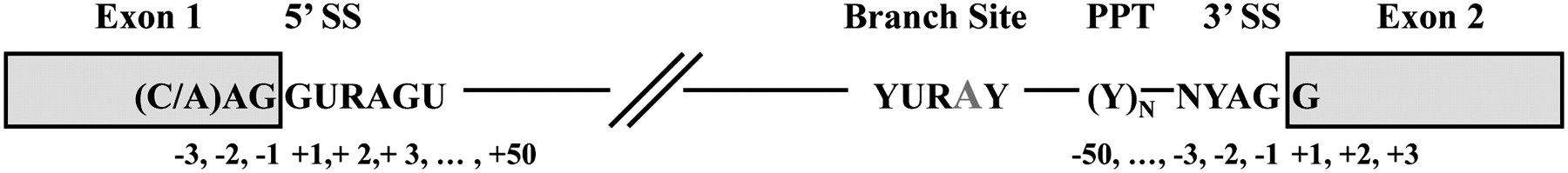 311fig1