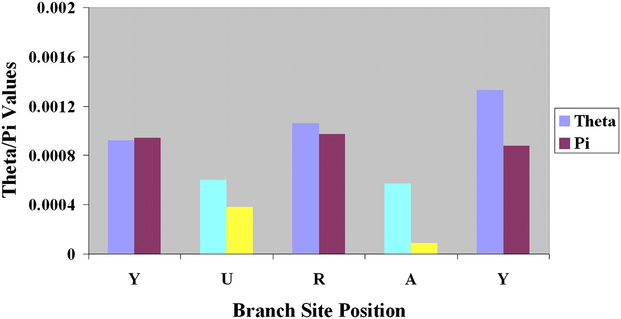 311fig4