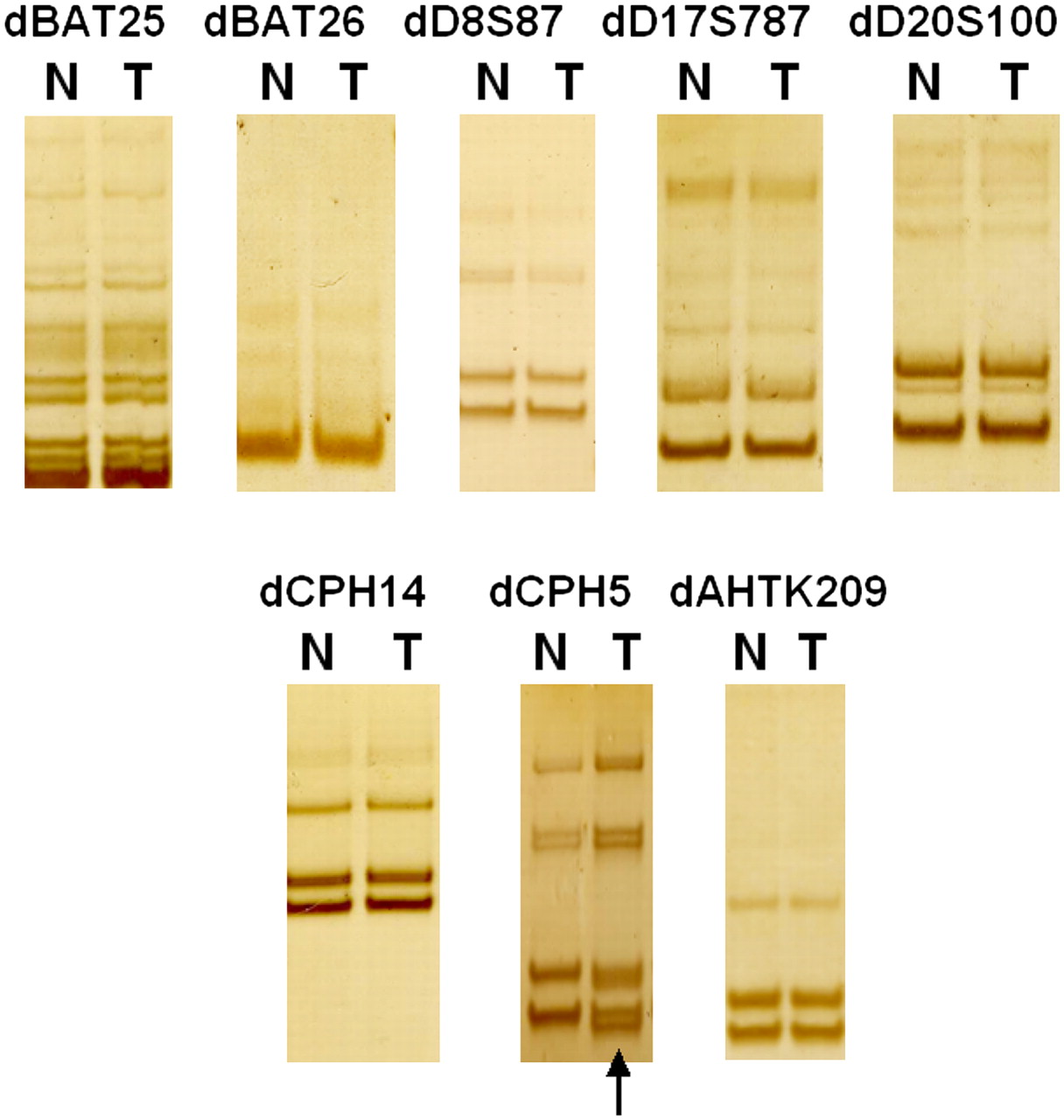 341fig4