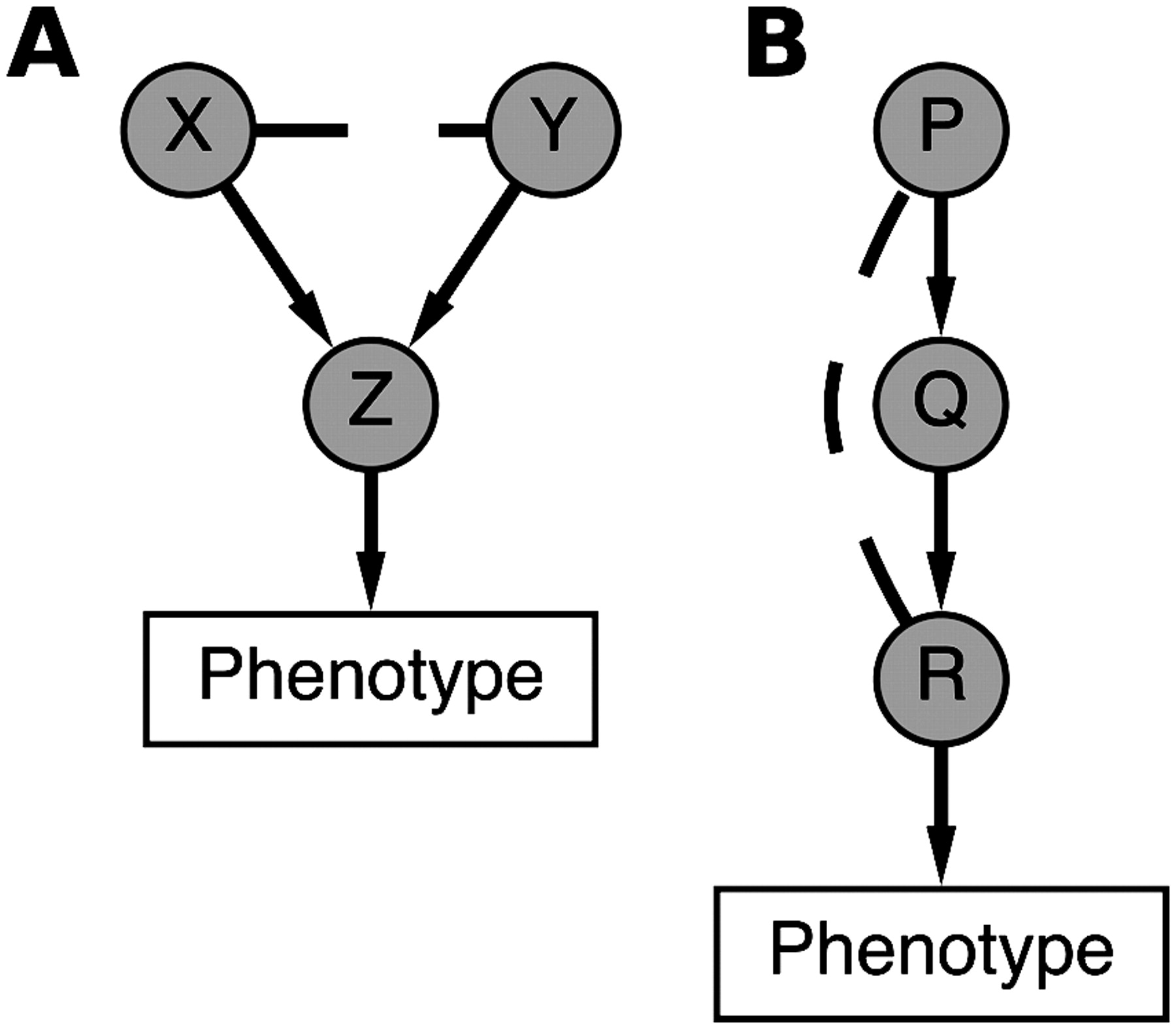 372fig1