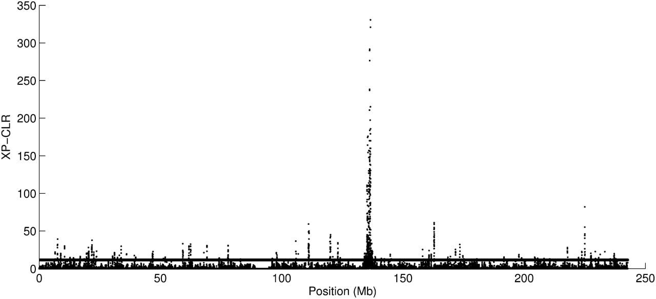 393fig6