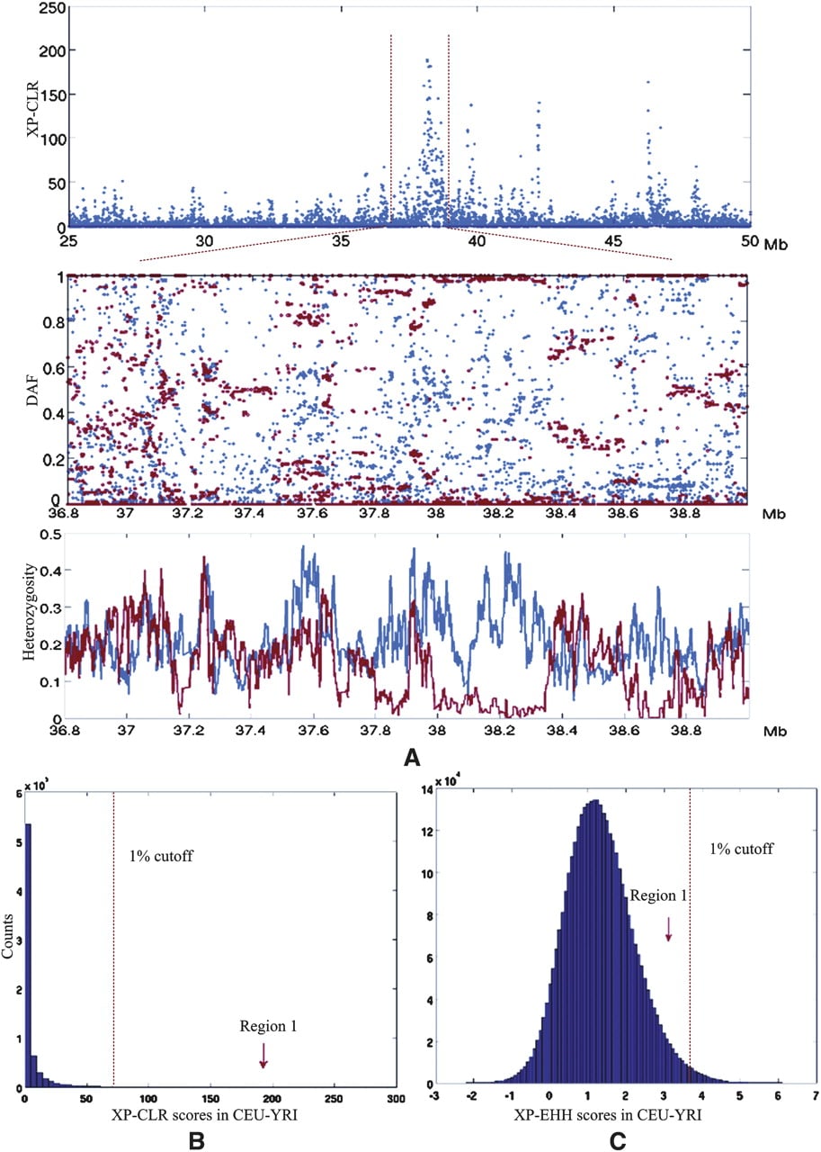 393fig7