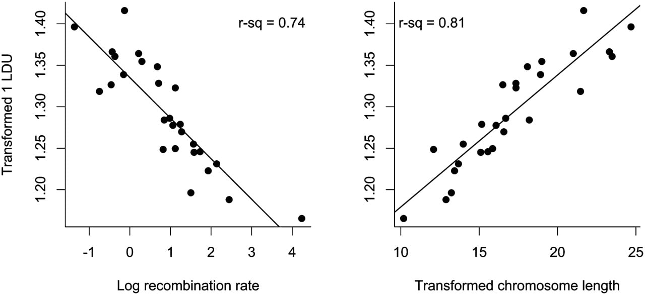 496fig2