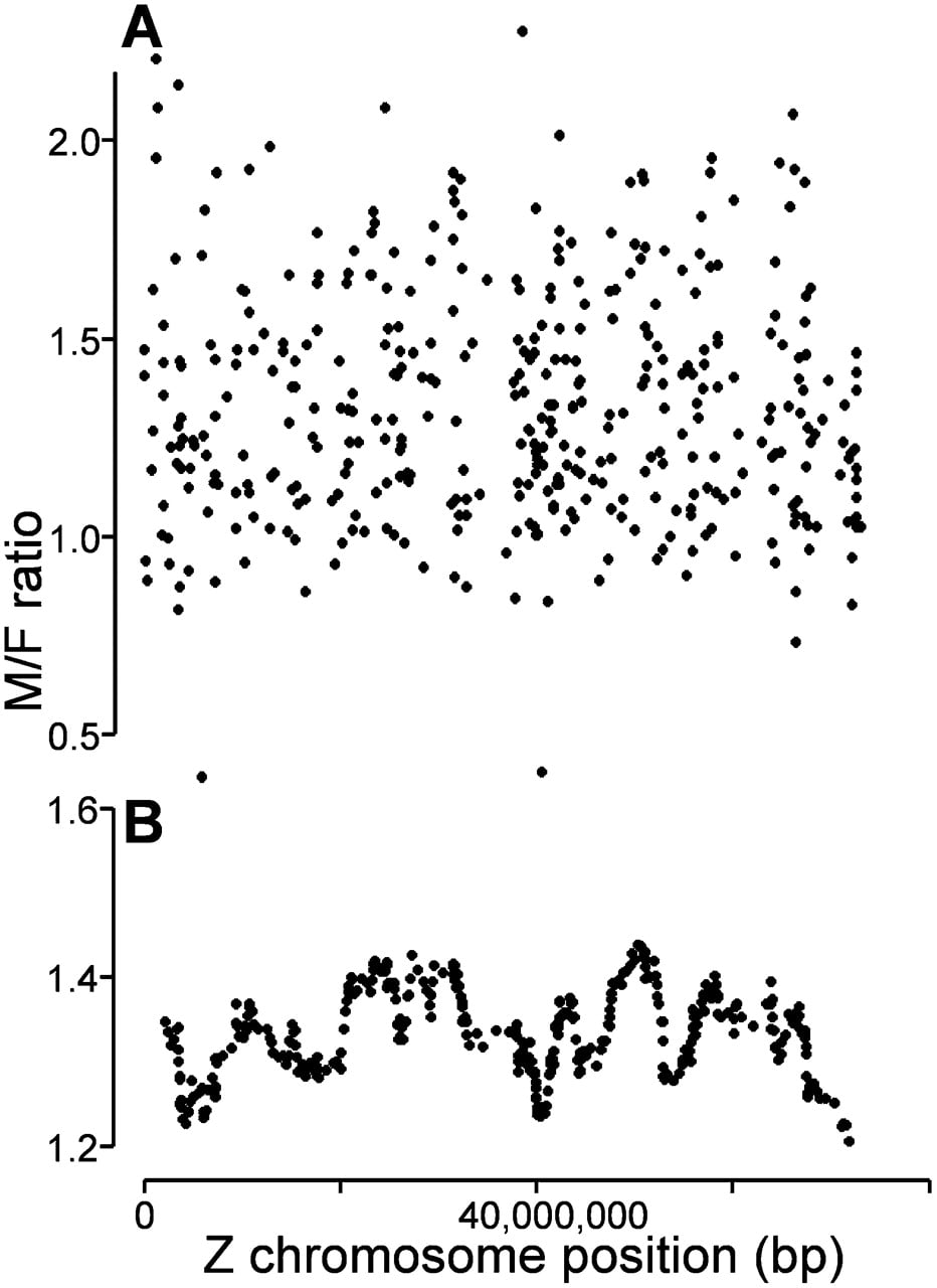 512fig2