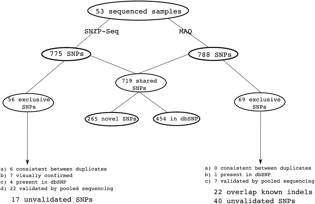 537fig2