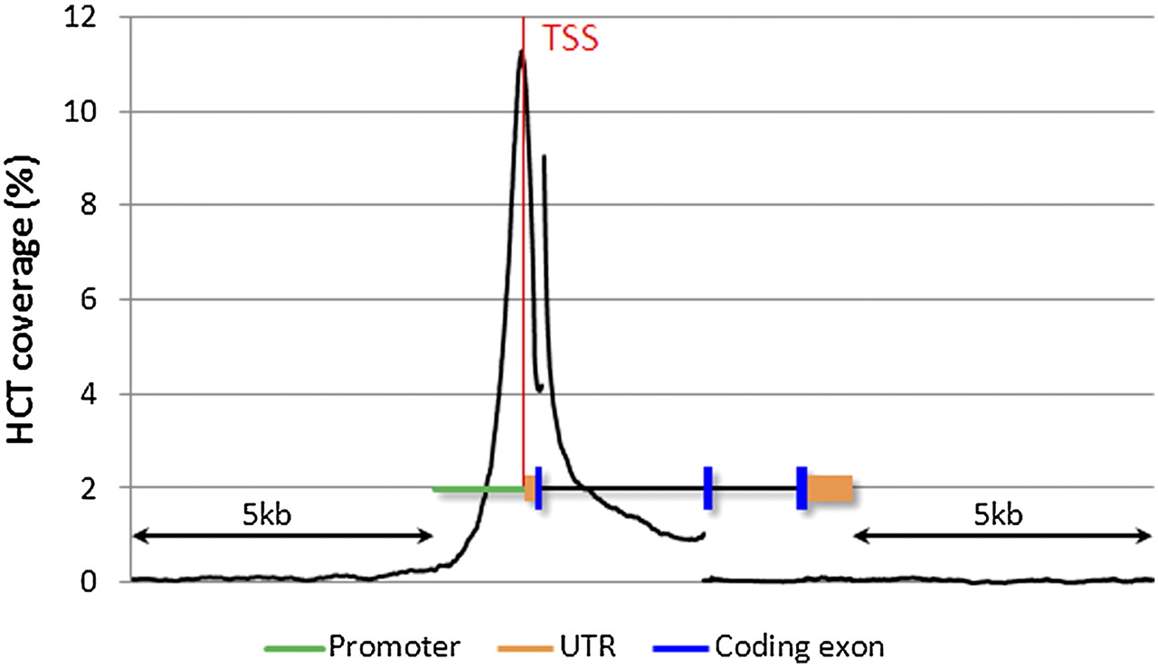 565fig2