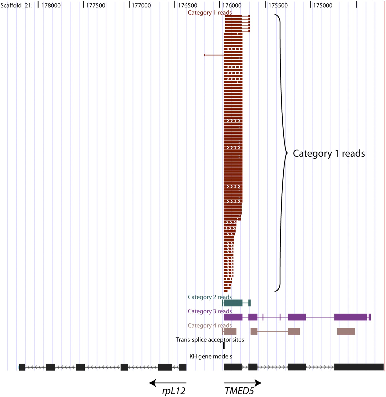 636fig2