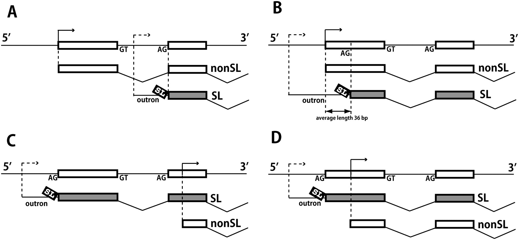 636fig5