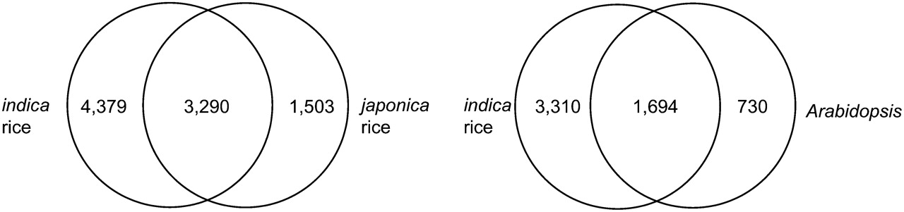 646fig4