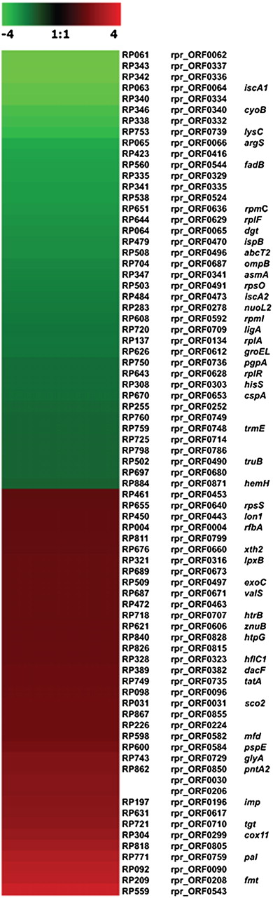 655fig5