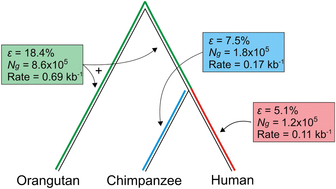 675fig4