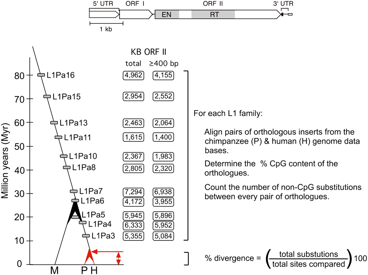875fig1