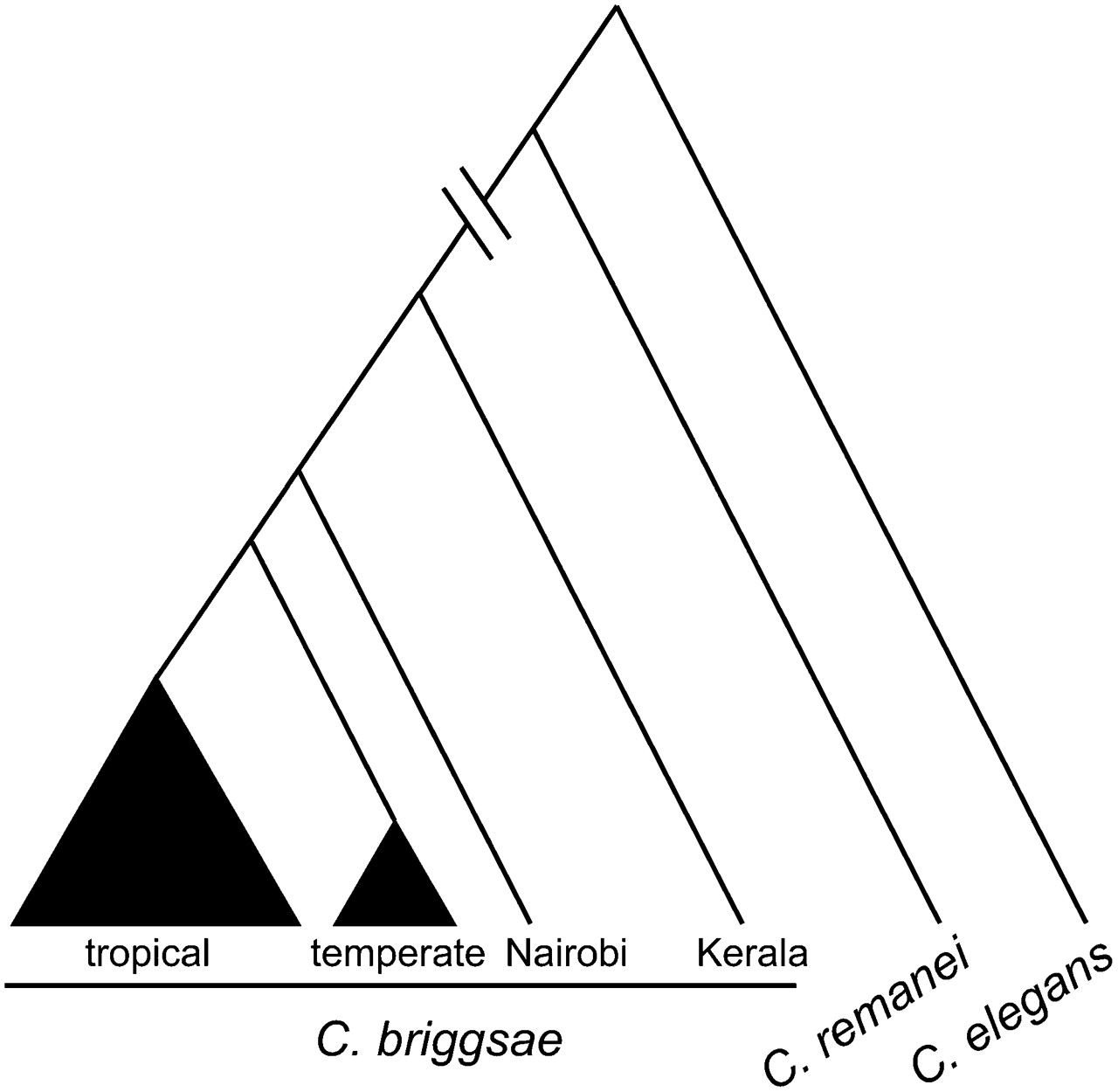 1103fig1
